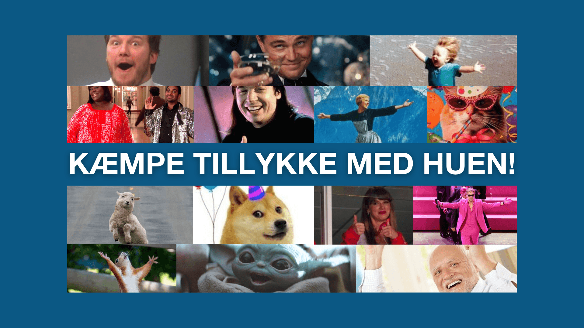 KÆMPE TILLYKKE MED HUEN!